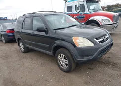 SHSRD78804U258162: 43554453