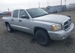 1D7HE48N96S605567: 43554729