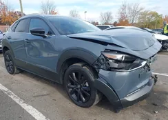 3MVDMBCM1RM637388: 43556442