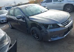 1HGCR2F73DA066787: 43556189