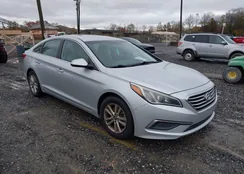 5NPE24AF0GH333208: 43557903