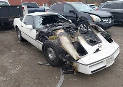 1G1YY0788G5127303: 43557280