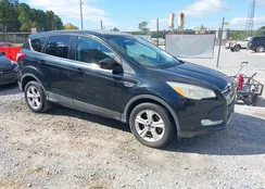 1FMCU9GX4DUB85575: 43558360