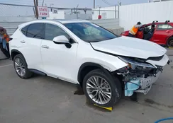 2T2HGCEZ0NC008907: 43558987