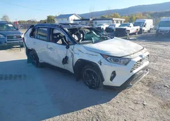 4T3E6RFV4MU030843: 43559047