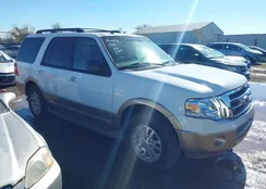 1FMJU1J51EEF50953: 43563047