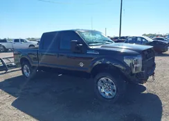 1FT7W2BT1EEB76663: 43566367