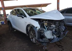 JTJYARBZ3G2042724: 43566856