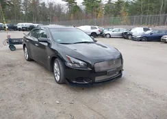 1N4AA5AP7EC453246: 43566353