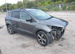 1FMCU0GD3HUA89203: 43570241