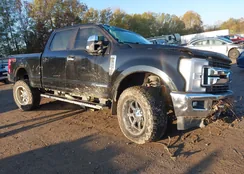 1FT7W2BT8HEF45233: 43573516