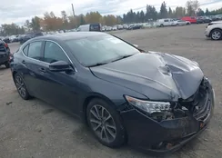 19UUB3F77FA008182: 43574178