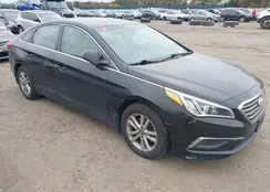 5NPE24AF3GH428118: 43575224