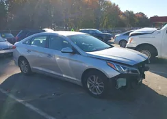 5NPE24AFXHH537256: 43576334