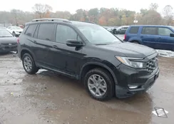 5FNYF8H69SB017361: 43576133