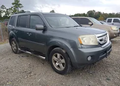 5FNYF4H56AB041020: 43580781