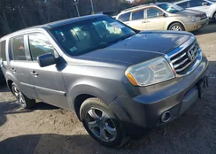 5FNYF4H58FB006289: 43584566