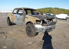 1FTFW1EF5BFB75341: 43586932