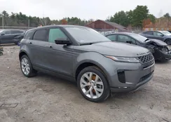 SALZP2FXXLH019821: 43590538