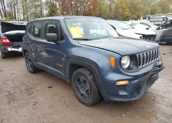 ZACNJAAB4LPL17266: 43590014