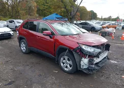 JTMP1RFV7KD519769: 43590237