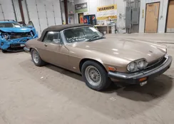 SAJNV5845JC146973: 43596831