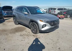 5NMJECAE3PH236959: 43597435