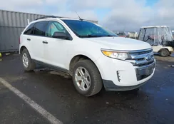 2FMDK4GC0EBA95888: 43605513