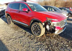 5NMS5DA12PH009981: 43610572