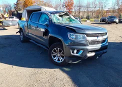 1GCGTCEN4K1279400: 43612466