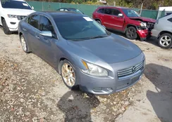 1N4AA5AP5CC836552: 43616482