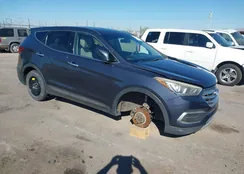 5NMZTDLB6JH107445: 43616709