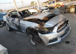 1FA6P8AM6G5225743: 43620747