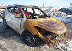 KM8J33AL1LU229737: 43627776