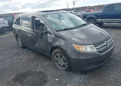 5FNRL5H65DB091648: 43628655