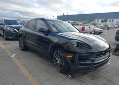 WP1AA2A51RLB08662: 43634467