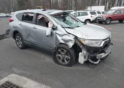 5J6RW2H55HL063231: 43644693