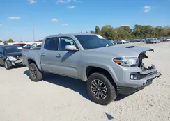 3TYCZ5AN7MT039752: 43647932