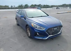 5NPE24AFXJH704785: 43648887