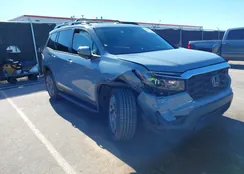 5FNYF7H56NB002984: 43650471