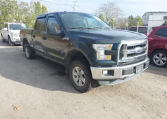 1FTFW1EF0GFB73519: 43652009