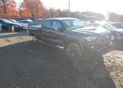 3TYDZ5BNXMT001578: 43659816