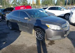 1G11C5SA9DF210994: 43662184