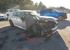 3MW23CM06P8D46448: 43663353