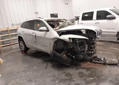 1C4PJMJS3HW604881: 43663471