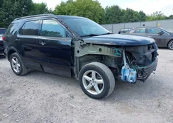 1FM5K8B81KGA18787: 43663161