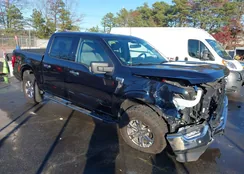 1FTEW1EP0MKE10405: 43666212