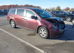 5FNRL5H67EB108533: 43671801