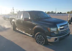 1FTFW1CTXEKE06111: 43674763