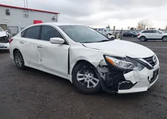 1N4AL3AP5HC273279: 43674799